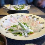 日本料理 TOBIUME - ふぐ刺し