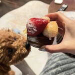 エテコ ブレッド - 