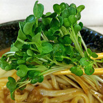 長生うどん - ジパングカレーうどん