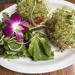 Island Vintage Coffee - 