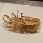 玄水 - 夜限定大将にお任せ16,500円(車海老)