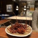 スガラボヴィー - 