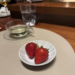 スガラボヴィー - 