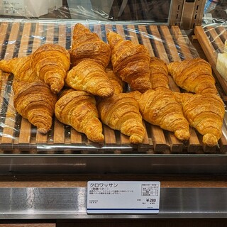 ドンク・ミニワン_0