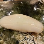 鮨桂太 - スミイカ