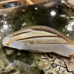 鮨桂太 - コハダ