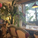 Chachat - 