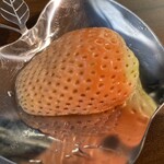 fruits farm franc - そんなんいいですのにーって言うて、しっかりいただきました。すごいおおきいんですよ。うまーい！