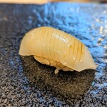 越中屋  - あおりイカ