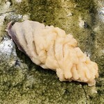 鮨桂太 - 北寄貝