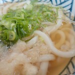 うどん さか枝 - 