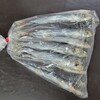 松原海産物店 中央市場店