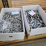 松原海産物店 - 