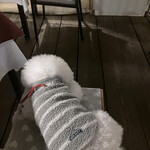 リストランテ ピッツェリア ジャンカルロ トウキョウ - 最初が寛ぎ過ぎレベル？