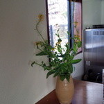 Miyabi - 白菜の花