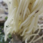 らーめん工房 龍 - 