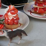 Wolf COFFEE PATISSERIE - 