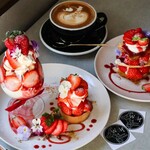 Wolf COFFEE PATISSERIE - 