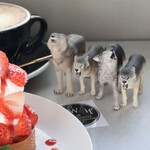Wolf COFFEE PATISSERIE - 