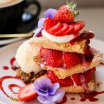 Wolf COFFEE PATISSERIE - 