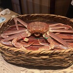 銀座ふじやま - 