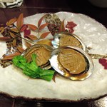 酒肴商店 アジト - アワビの？