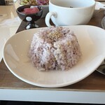 黒酢の郷 桷志田 - 