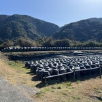 黒酢の郷 桷志田 - 