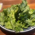 君のハンバーグを食べたい 渋谷店 - 春菊サラダ　春菊固有のクエもなく苦手な人にもおすすめ！