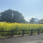 ダンケンコーヒー - 