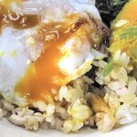 嘉義車頭火雞肉飯 - 火雞肉飯・含三菜・荷包蛋