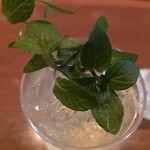 サンルーカルバー - シェリートニック