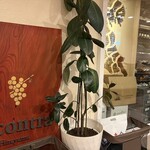 四季彩 平山 - 内観    以前のお店:インコントラヒラヤマの看板