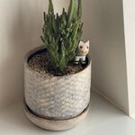 カレー すみた - 