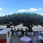 Hau Tree Lanai Restaurant - 店内のテーブル席の風景です