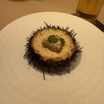 函館海膽 Murakami 日本生命札幌大樓店 - 