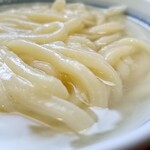 釜あげうどん 長田 in 香の香 - 釜あげうどん(小)