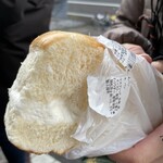 トラットリアフォルツア - 