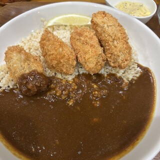 田中カレー_0