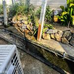 ぶんぶくちゃがま - 