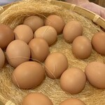 和牛 すき焼き 京都五天五 - お好きなのどうぞ選べる