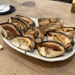 吉田山せせり - 