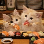 無添くら寿司 - 