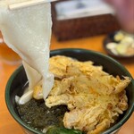 関西風手打うどん いらっしゃい - 
