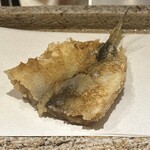 日本橋 蕎ノ字 - 天草　こはだ