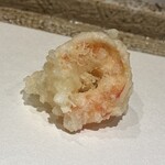 日本橋 蕎ノ字 - 背開き