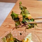 北新地 肉料理 名門 - 