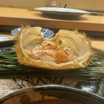 銀座 鮨 かねさか - 