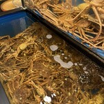 宇都宮 甲羅本店 - 