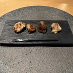 シブ ニシナカス - 